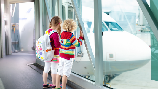 10 Tips for Traveling with a Toddler