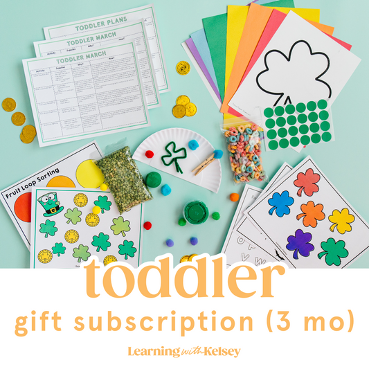 The Toddler 3 Month Gift Subscription Box