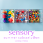 The Sensory 3 Month Subscription Box